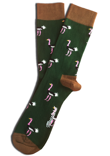 Ostrich socks